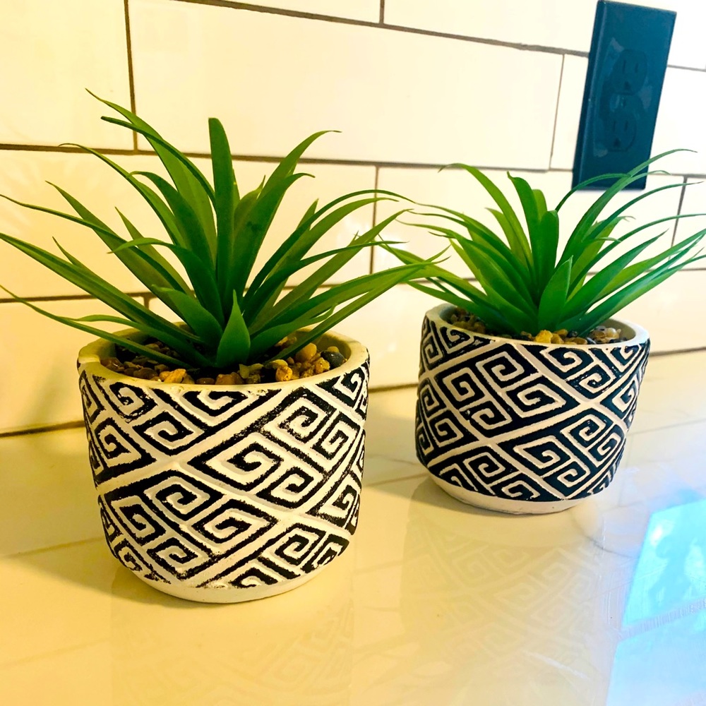 Plant set